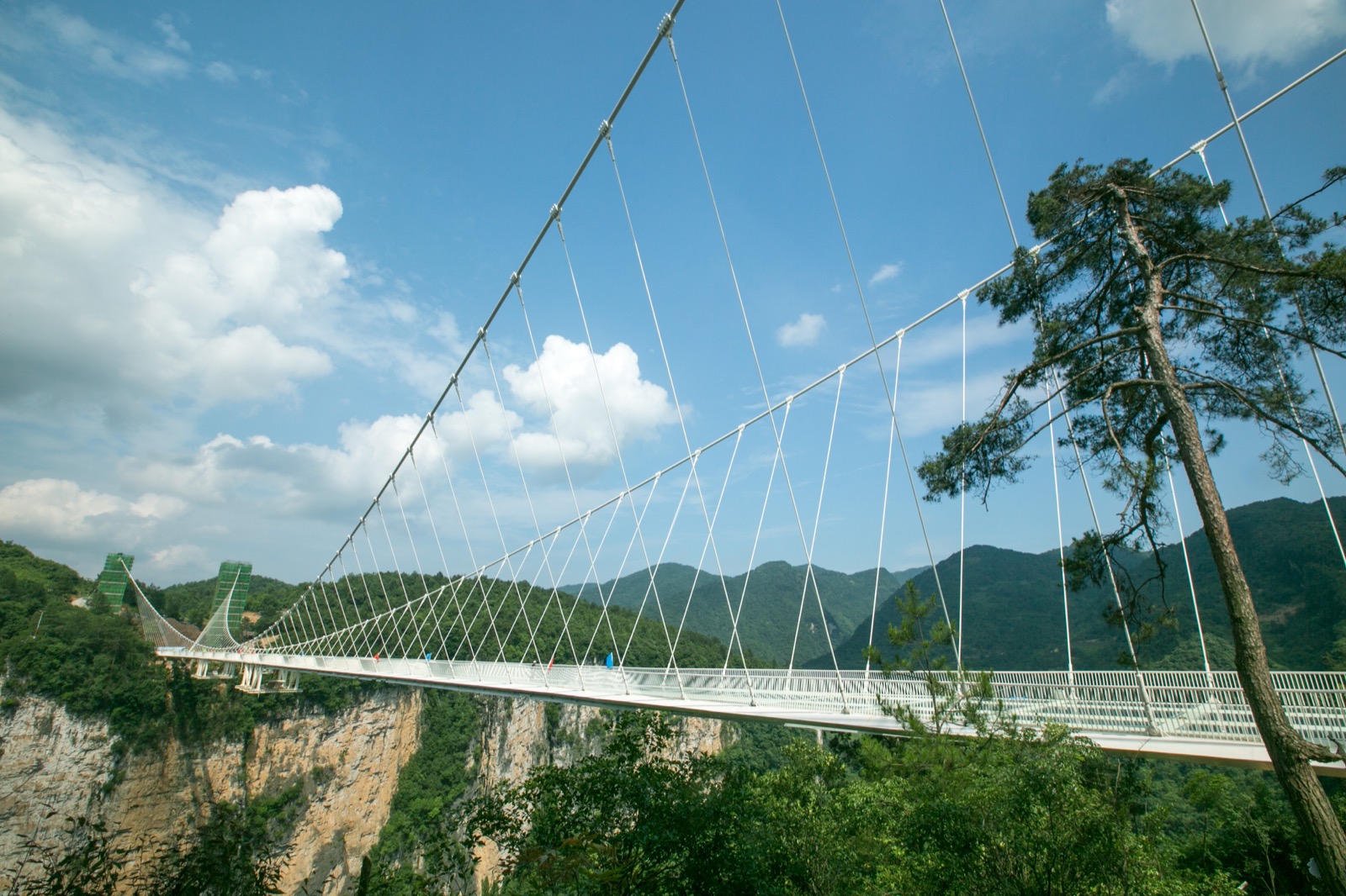 Por que tanta ponte? Por causa da pobreza